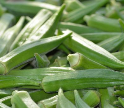 Ladies Finger (Okra)