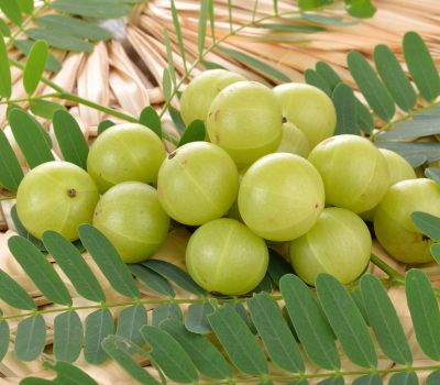 Amla, Gooseberries