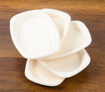 Bagasse Plates & Cups