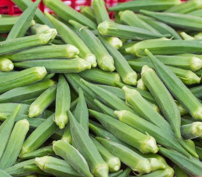 Ladies Finger (Okra)