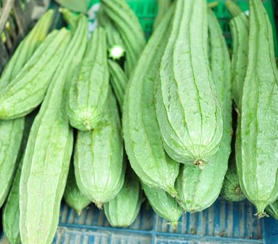 Ridge Gourd